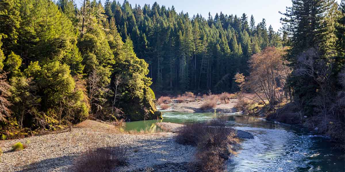 South Fork Eel river in California in Shoreline highway area in sunny day.