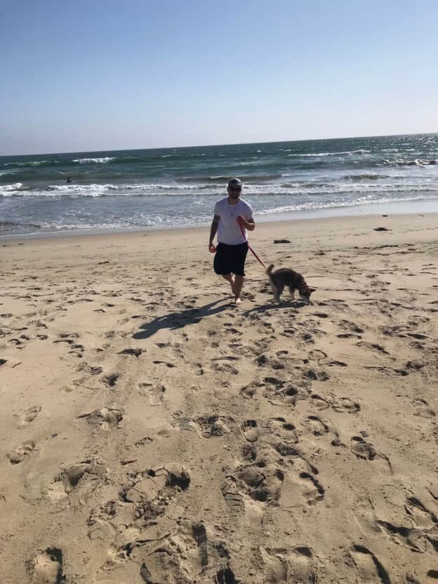Client walking a dog on the beach with support